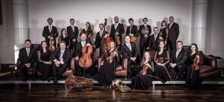 Irish Chamber Orchestra ensemble picture
